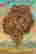 item-127893437=3