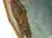 item-127893437=4