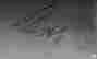 item-127893580=11