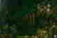 item-127893612=2