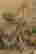 item-127893633=2