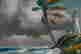 item-130114667=2