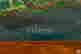 item-130114667=3