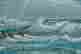 item-130114670=2