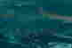 item-130114670=3