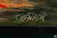 item-130114681=4
