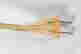 item-130114806=6
