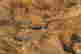 item-130115014=2