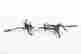 item-130115132=5