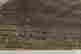 item-130115151=6