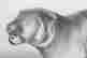 item-130115231=8