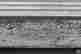 item-130115242=4