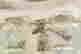 item-130115286=6