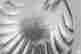 item-130115552=8