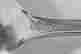 item-130115556=5