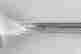 item-130115567=5
