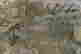 item-130115748=4