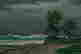 item-130481334=2