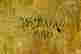 item-132123569=3
