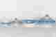 item-132123756=9