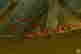 item-133753100=3