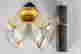 item-133753186=5