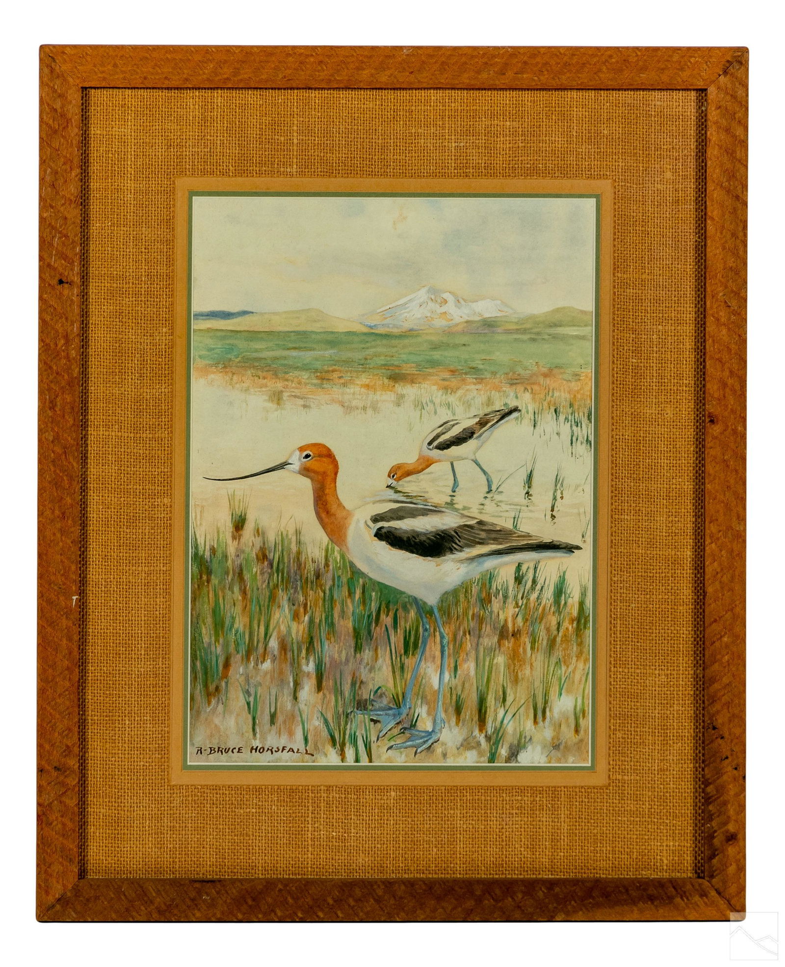 Robert Bruce Horsfall 1869-1948 Birds WC Painting (1 of 4)