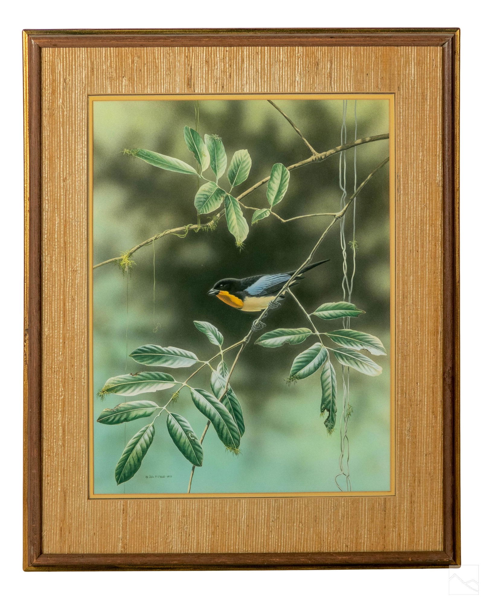 John P. O'Neill b.1942 Bird Wildlife WC Painting (1 of 4)