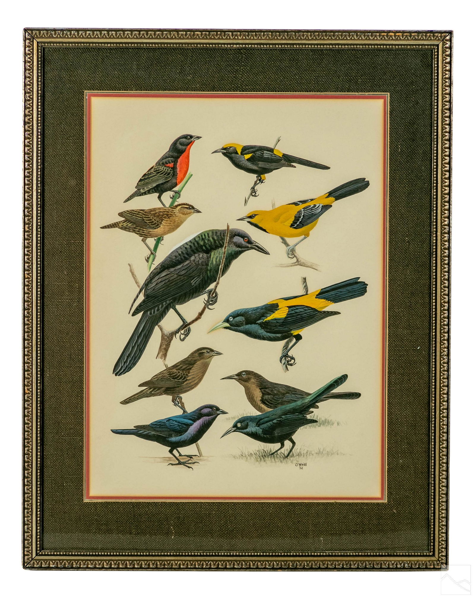 John P. O'Neill b.1942 Birds Wildlife WC Painting (1 of 4)