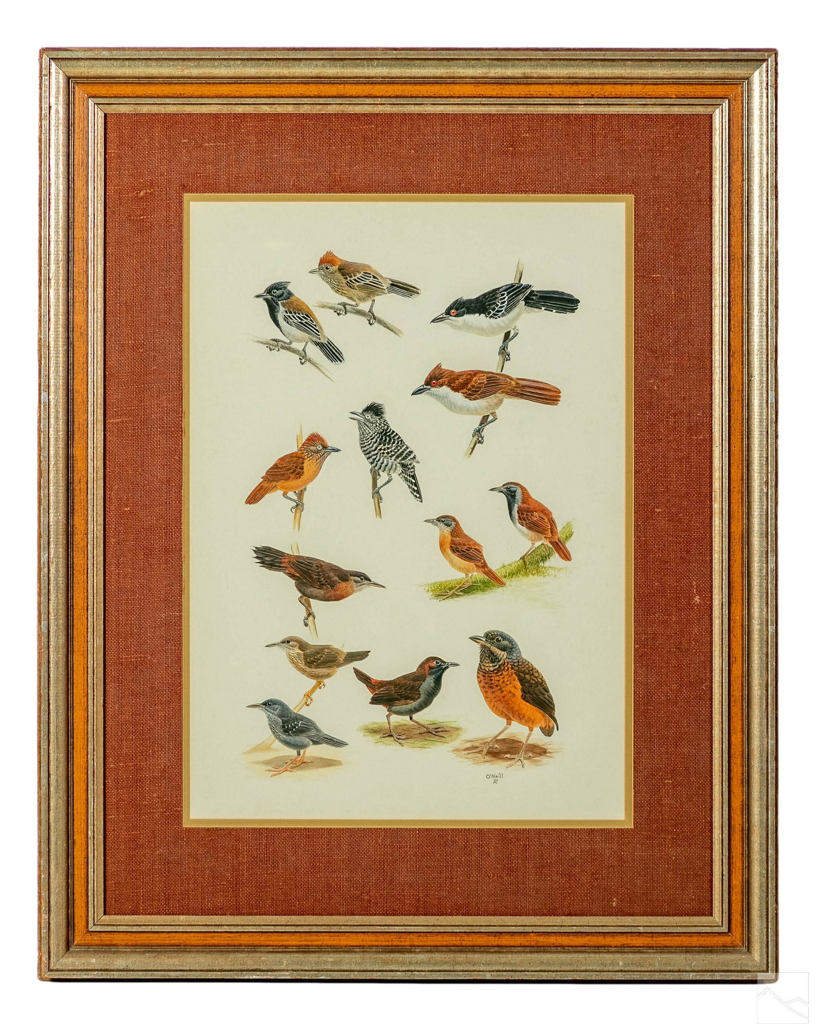 John P. O'Neill b.1942 Birds Wildlife WC Painting (1 of 5)