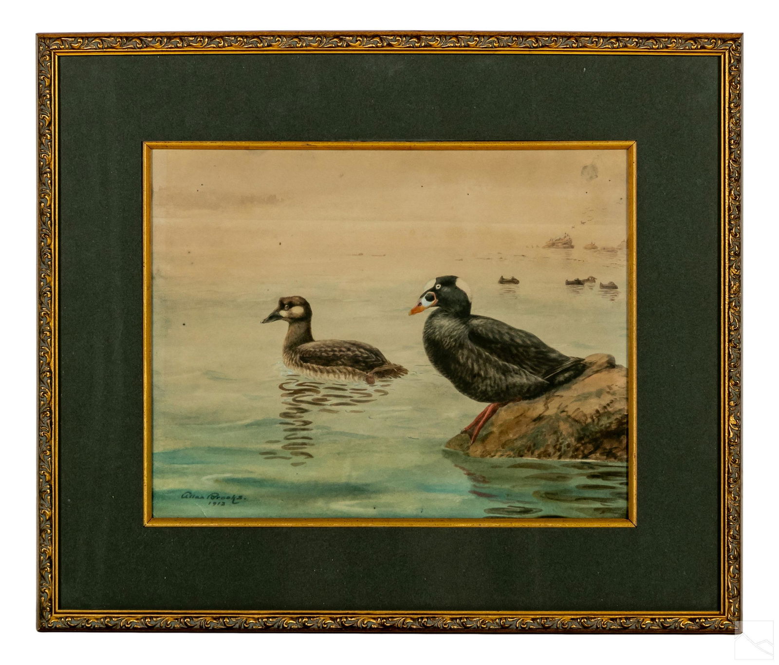 Allan Brooks 1869-1945 Ducks Watercolor Painting (1 of 4)