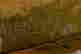 item-135833973=6
