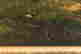 item-135834130=3