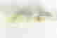 item-135834601=4