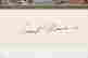 item-137389490=10
