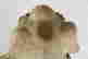 item-137389566=7