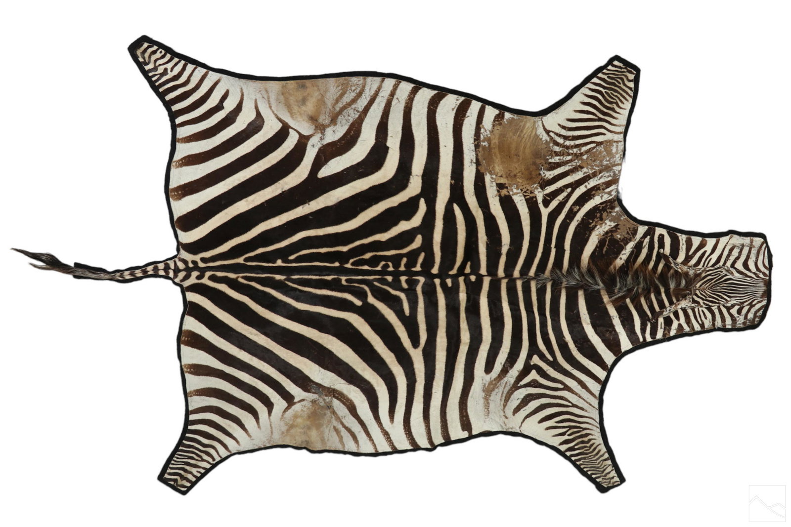 Natural Full Zebra Hide 115" Area Floor Carpet Rug (1 of 5)