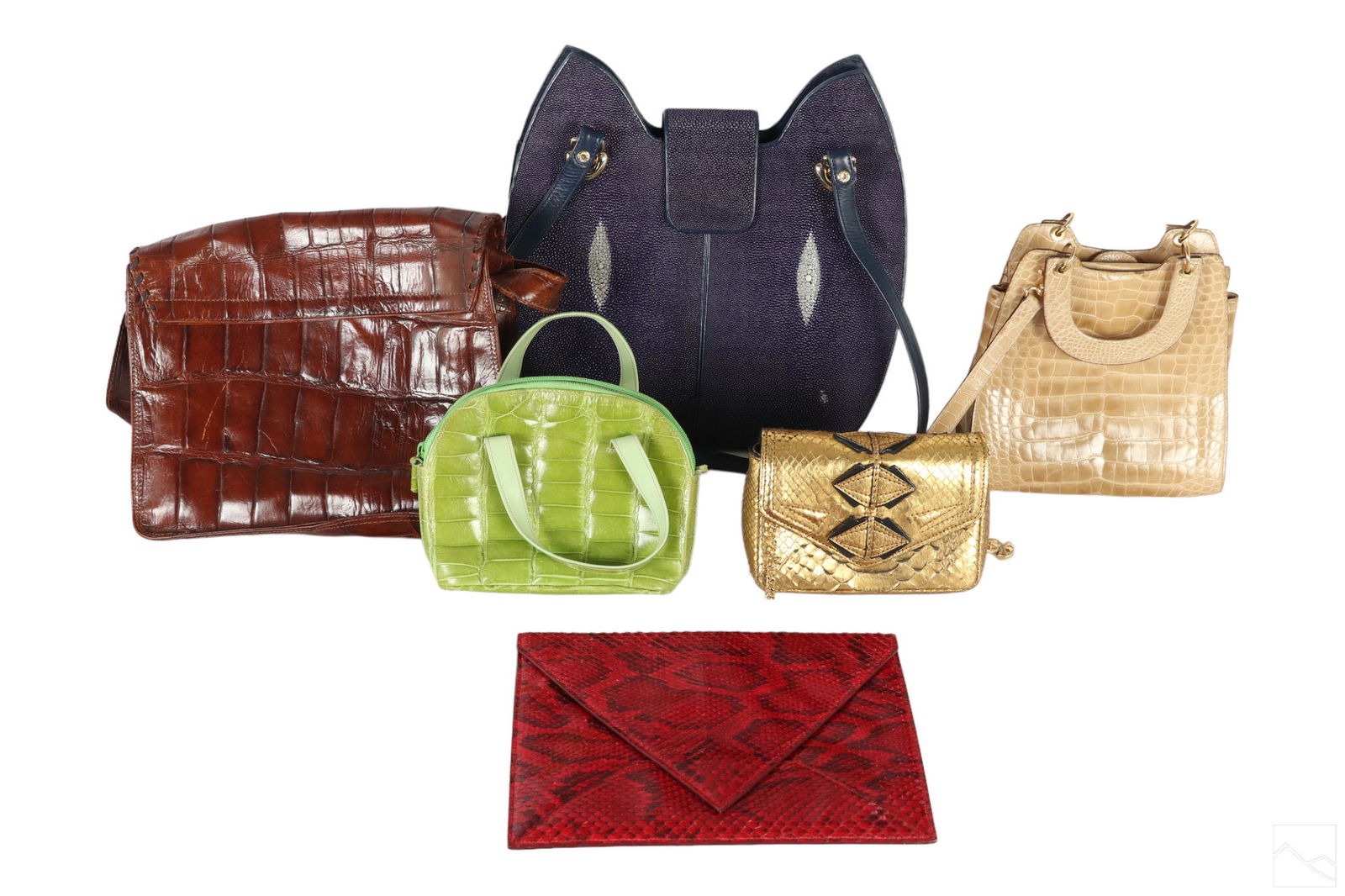 Italian Designer Exotic Skin Handbag Purse 6pc LOT (1 of 6)