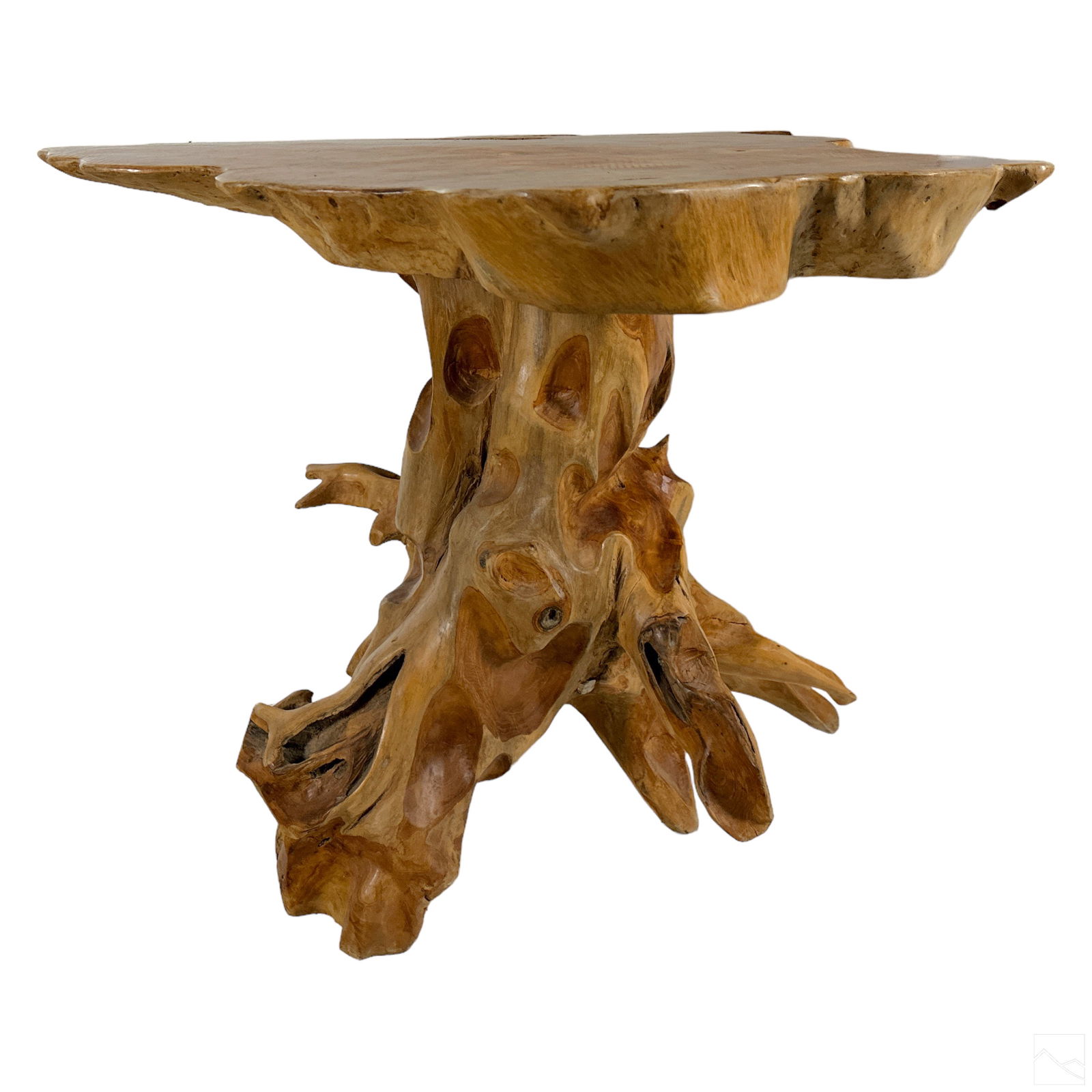 Natural History Organic Live Edge Wood Slab Table (1 of 6)
