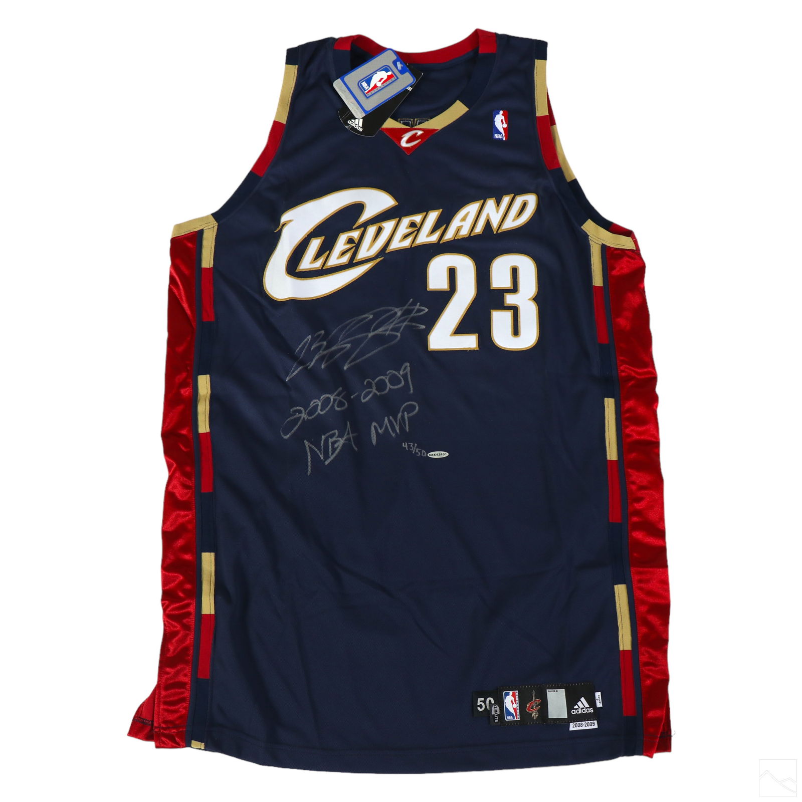 LeBron James SIGNED NBA Basketball LE Jersey & COA (1 of 7)