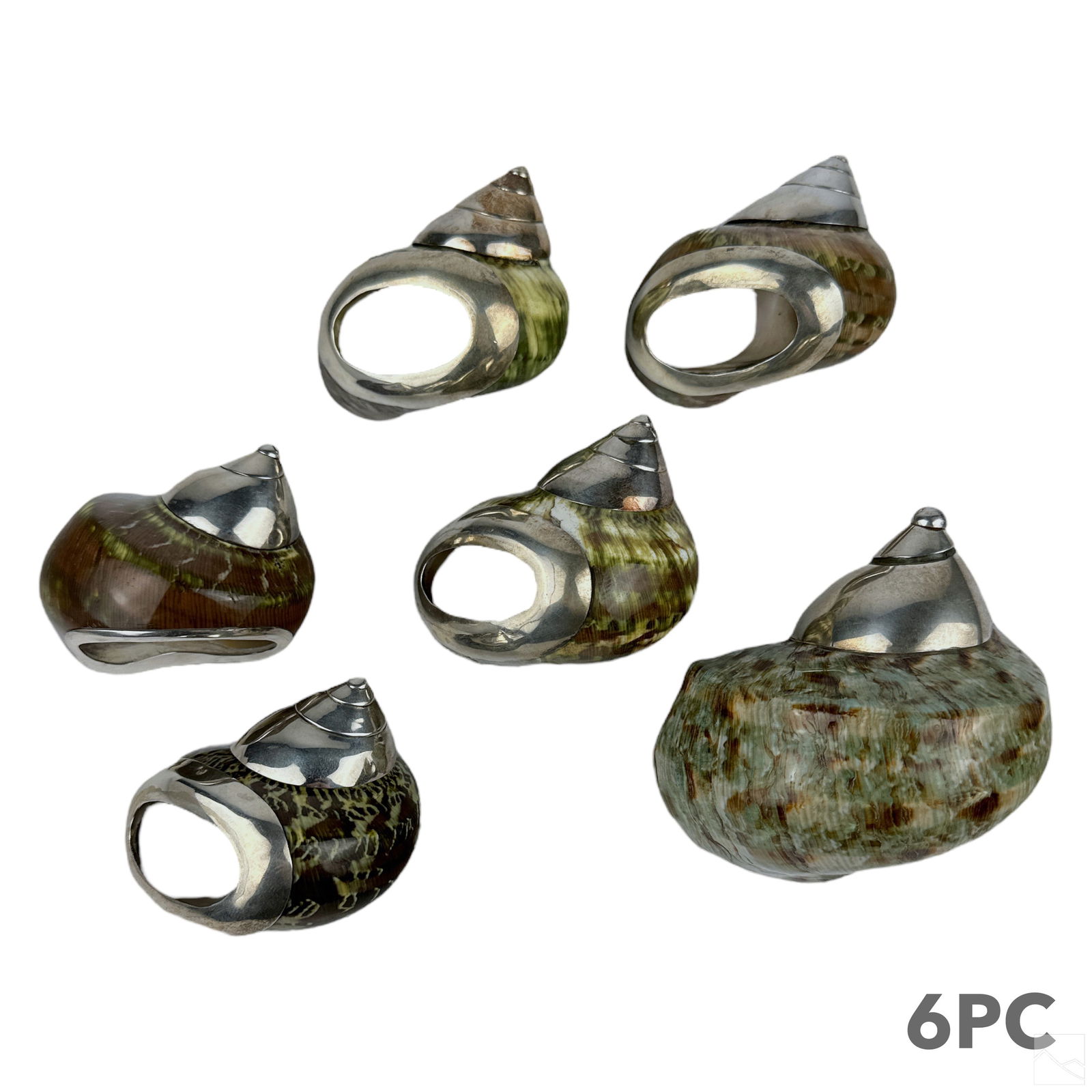 Turbo Shell & Silver Server & Napkin Rings 6pc SET (1 of 3)