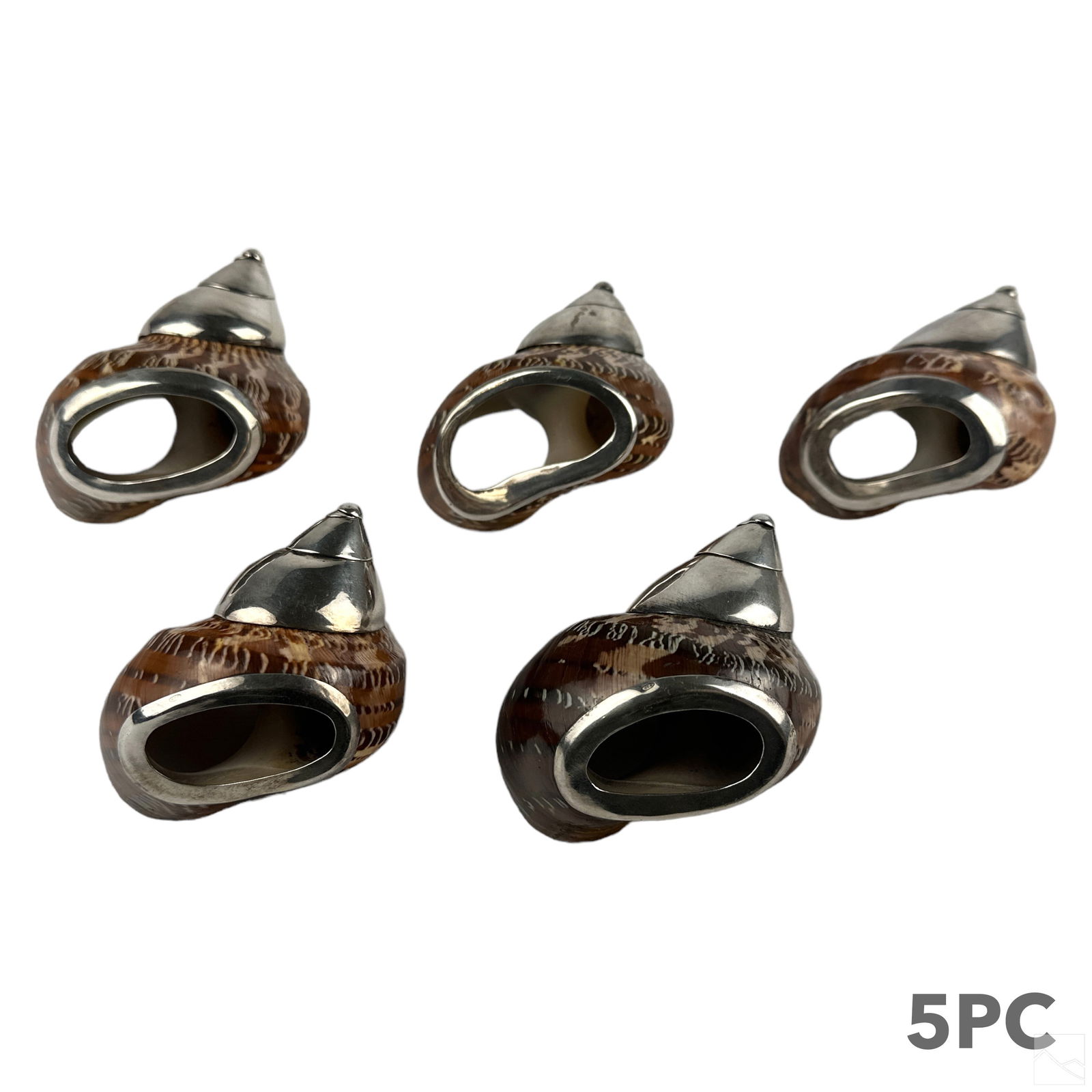 Turbo Shells & Sterling Silver Napkin Ring 5pc SET (1 of 4)