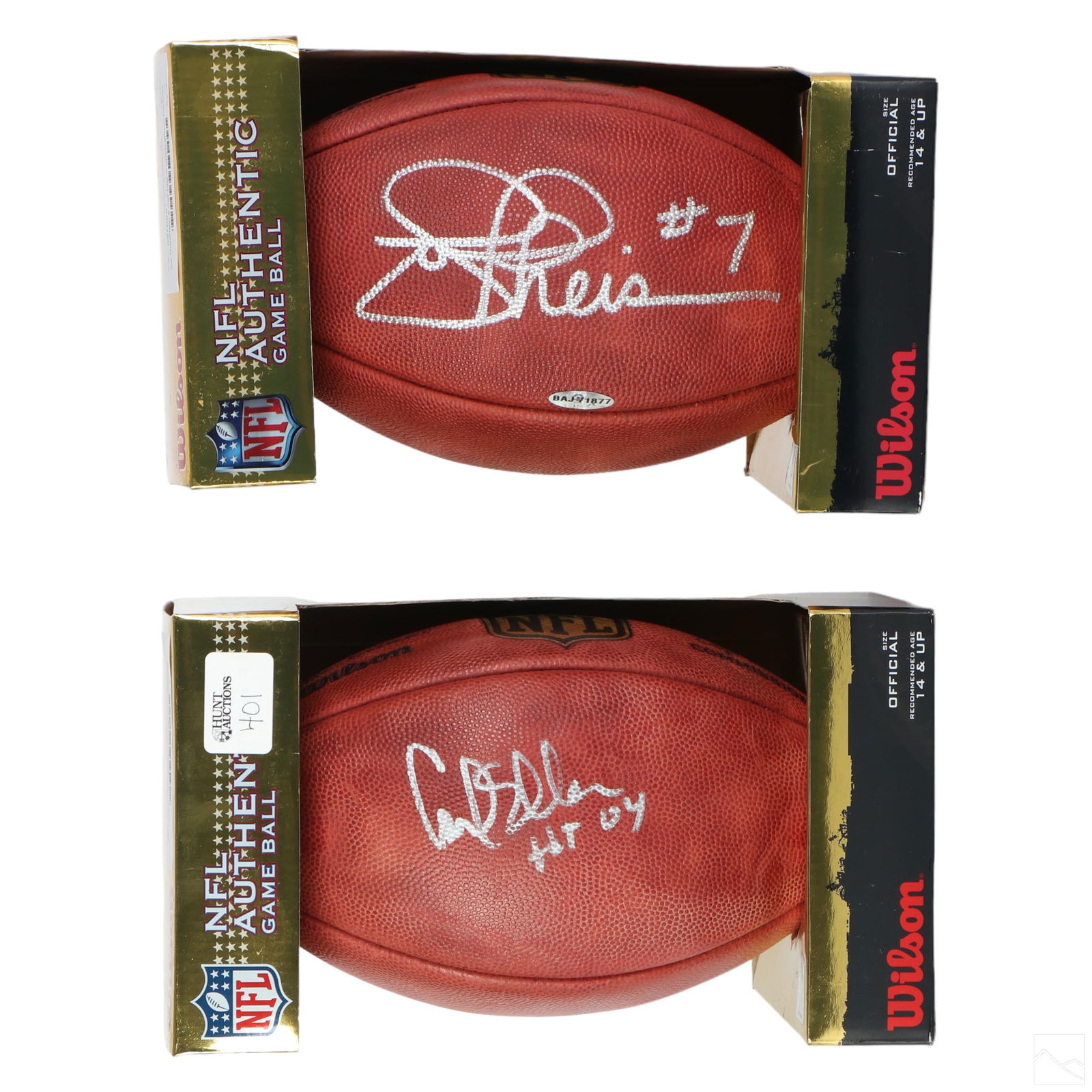 Joe Theismann & Carl Eller SIGNED Wilson Footballs (1 of 5)