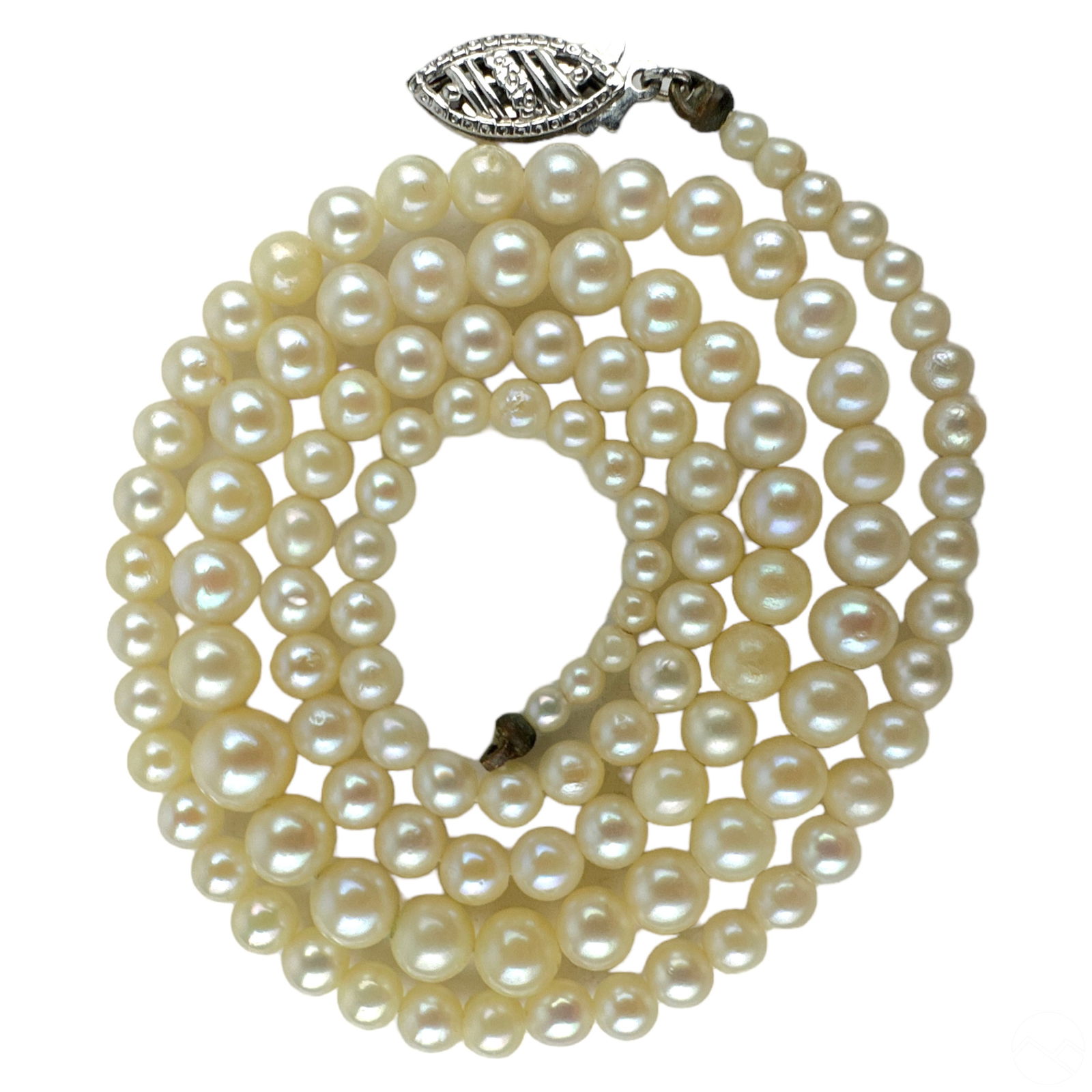 Najarda clearance pearl necklace