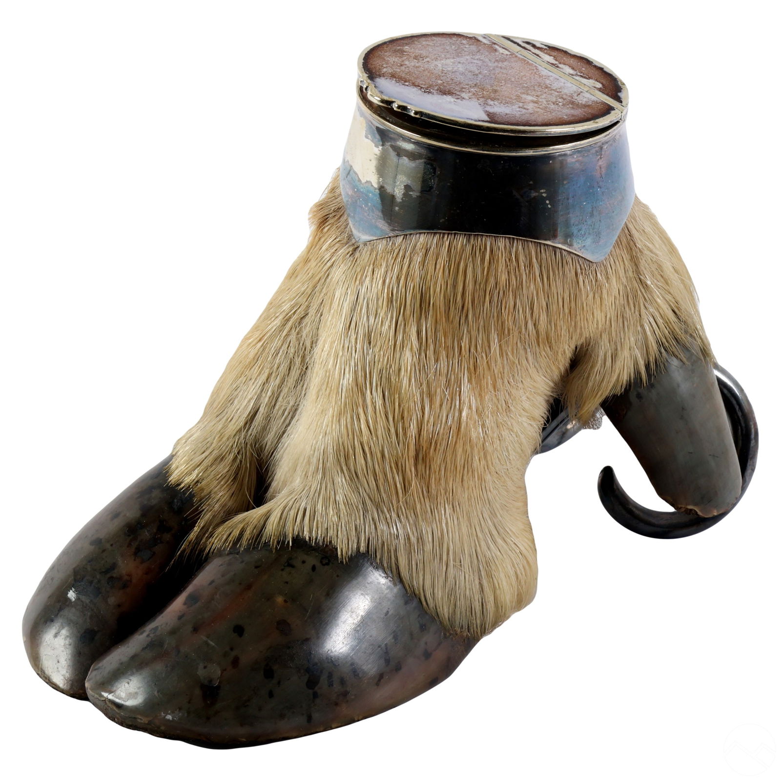 19C Rowland Ward Silver Taxidermy Hoof Inkwell (1 of 8)
