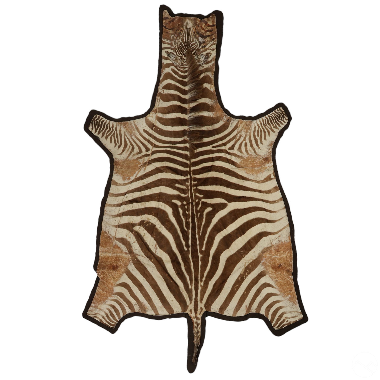 Natural Full Zebra Hide Area Carpet Rug 109" x 64" (1 of 5)