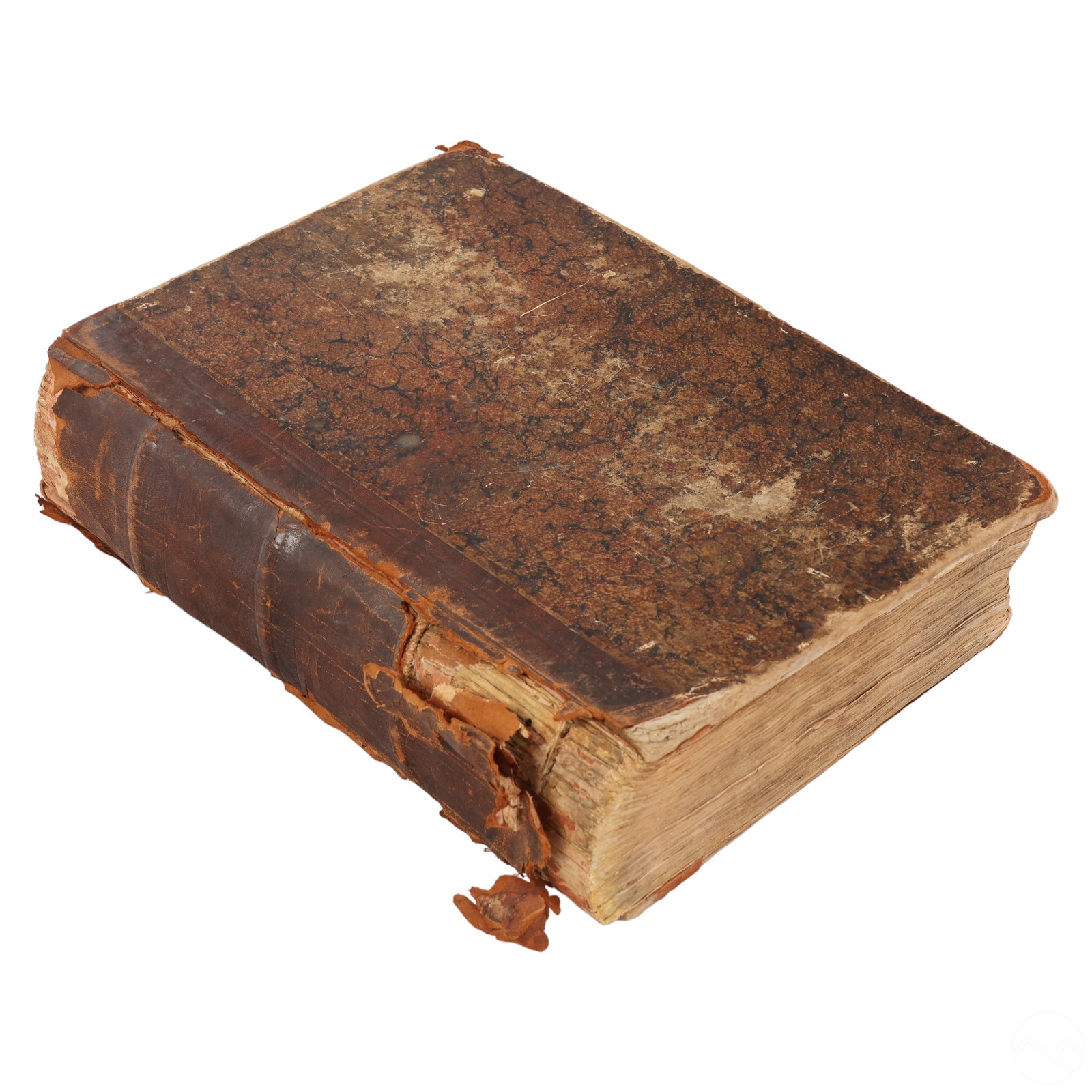 Antique German Herbal Medicine Book with Pictures (1 of 8)