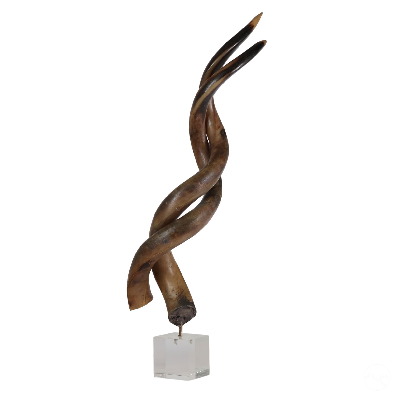 Natural Mounted Kudu or Antelope Horns on Lucite (1 of 5)