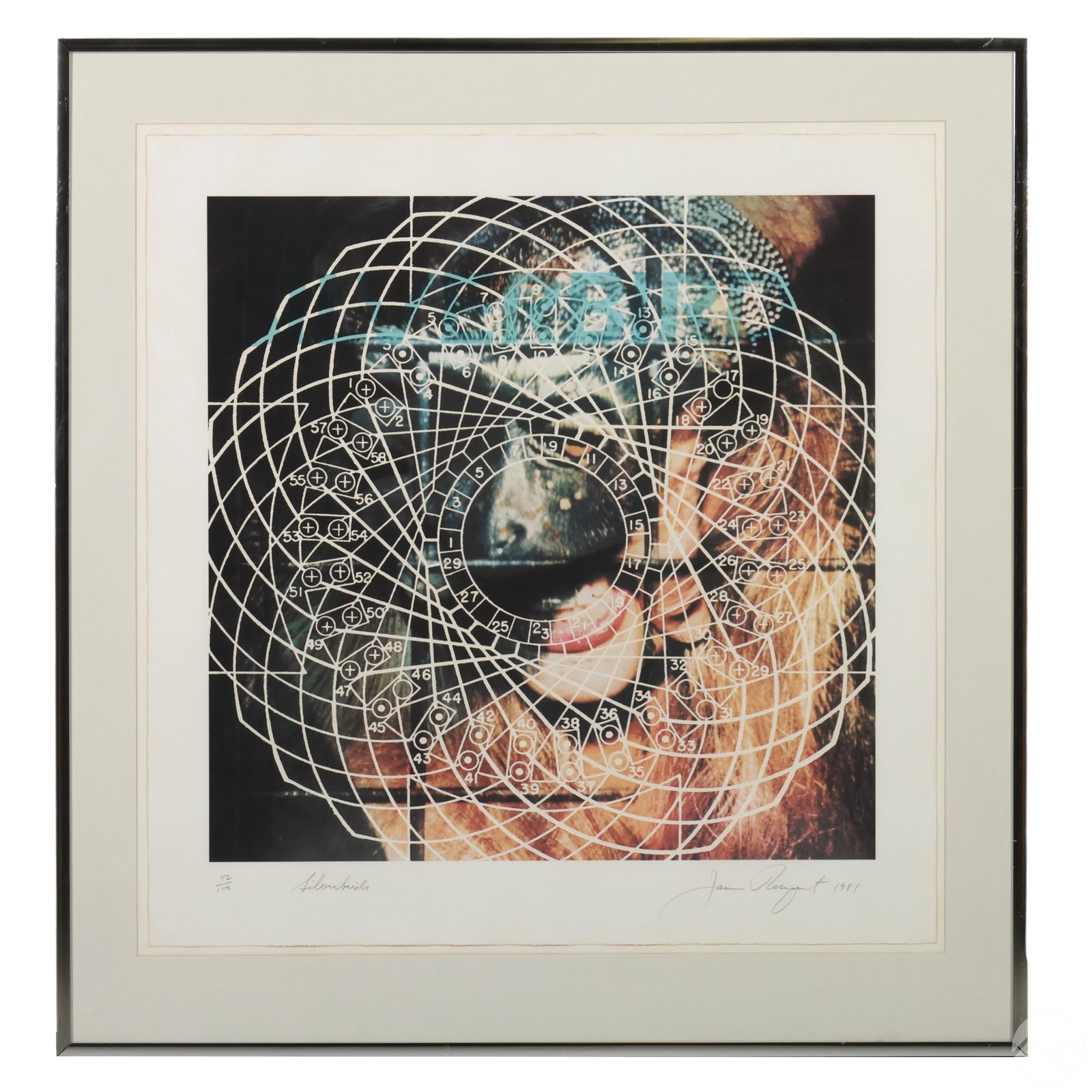 James Rosenquist 1933-2017 Silverbirds Screenprint (1 of 8)