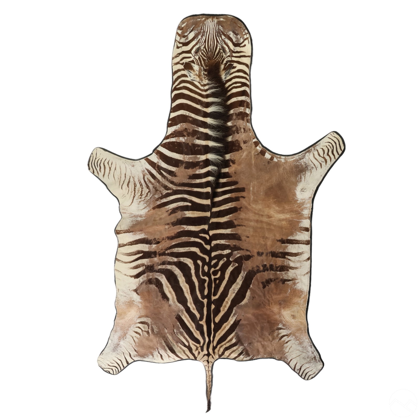 Natural Full Wild Zebra Hide Area Floor Carpet Rug (1 of 6)